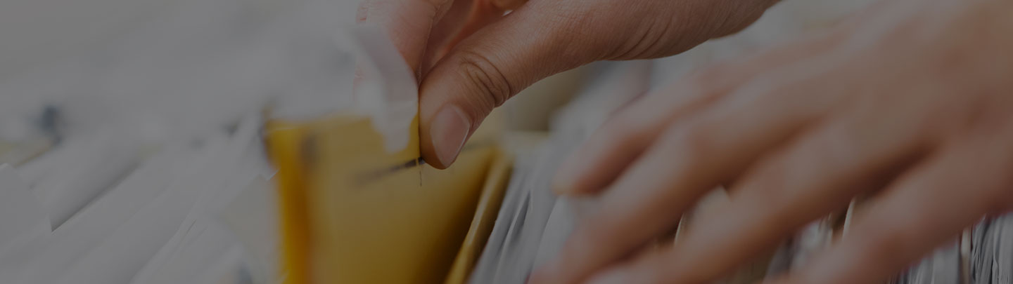 Te recomendamos la siguiente lectura: